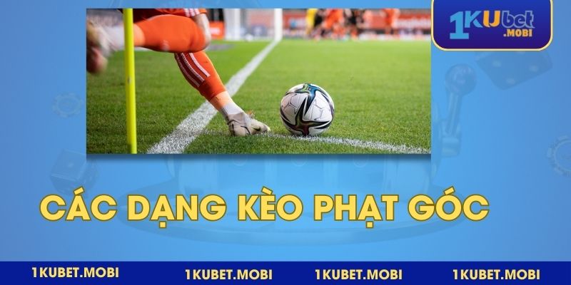 Loại hình có độ khó cao và không thường xuất hiện